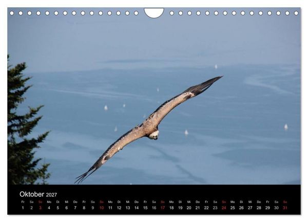 Produktbild: Faszination Bodensee (Wandkalender 2027 DIN A4 quer), CALVENDO Monatskalender