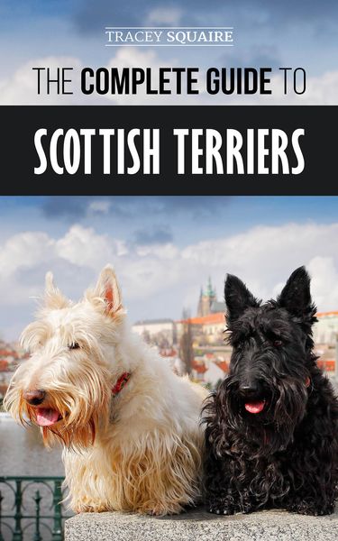 Produktbild: The Complete Guide to Scottish Terriers