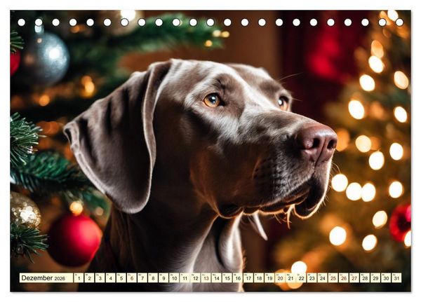 Produktbild: Weimaraner - der ideale Jagdbegleiter (Tischkalender 2026 DIN A5 quer), CALVENDO Monatskalender