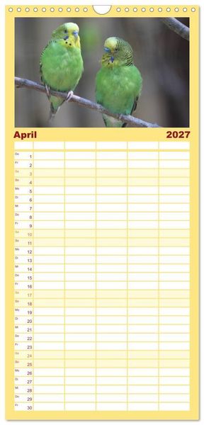 Produktbild: Familienplaner 2027 - Wellensittiche - Gefiederte Freunde mit 5 Spalten (Wandkalender, 21 x 45 cm) CALVENDO