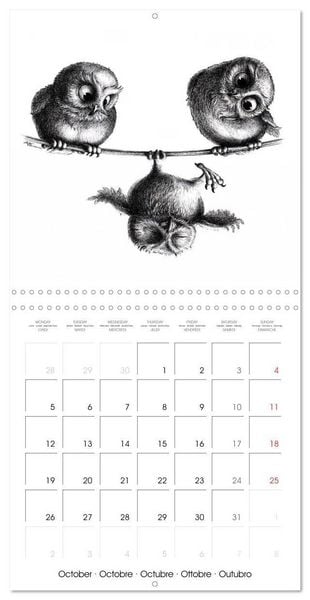Produktbild: owls and mates 2026 (Wall Calendar 2026 12 &times; 12 Inch) CALVENDO 12 Month Wall Calendar