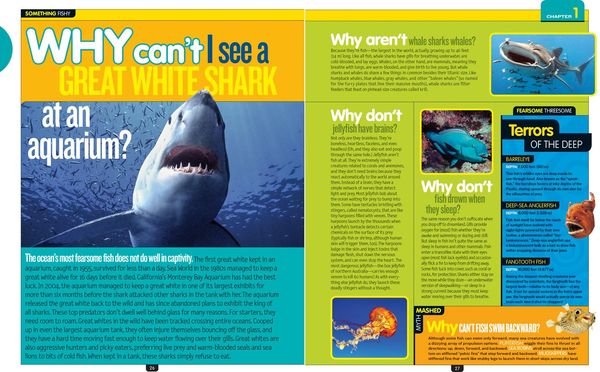 Produktbild: National Geographic Kids Why Not?