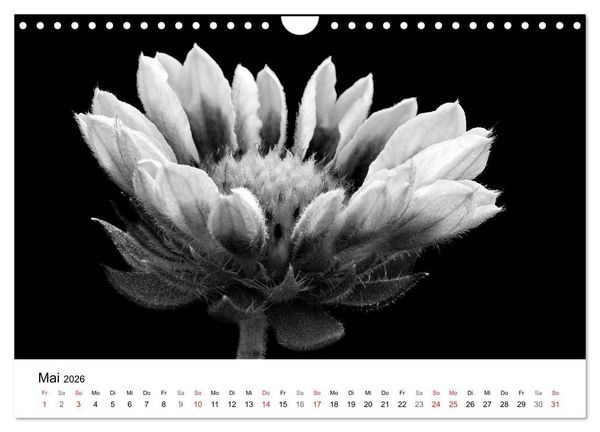Produktbild: Blumen 2026, Schwarz-Wei&szlig; (Wandkalender 2026 DIN A4 quer), CALVENDO Monatskalender