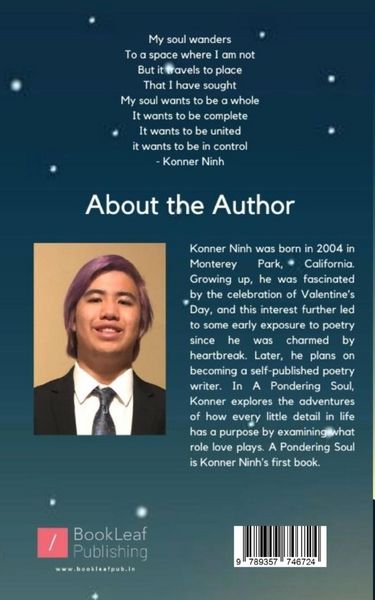 Produktbild: A Pondering Soul
