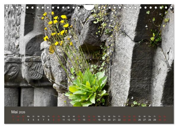 Produktbild: im stift zu bad hersfeld (Wandkalender 2026 DIN A4 quer), CALVENDO Monatskalender