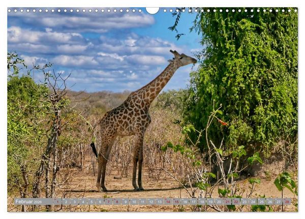 Produktbild: Namibia - Von Nord nach S&uuml;d (Wandkalender 2026 DIN A3 quer), CALVENDO Monatskalender