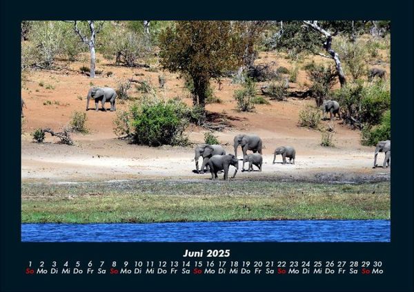 Produktbild: Der Elefantenkalender 2025 Fotokalender DIN A4