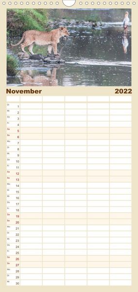 Produktbild: L&ouml;wen - Raubkatzen Afrikas - Familienplaner hoch (Wandkalender 2022 , 21 cm x 45 cm, hoch)