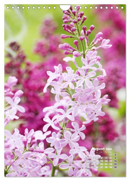 Produktbild: Fliederbl&uuml;te (Wandkalender 2026 DIN A4 hoch), CALVENDO Monatskalender