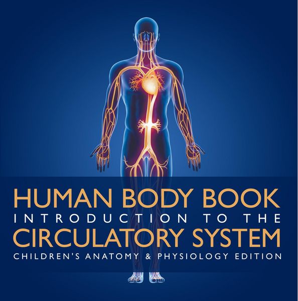 Produktbild: Human Body Book | Introduction to the Circulatory System | Children's Anatomy & Physiology Edition