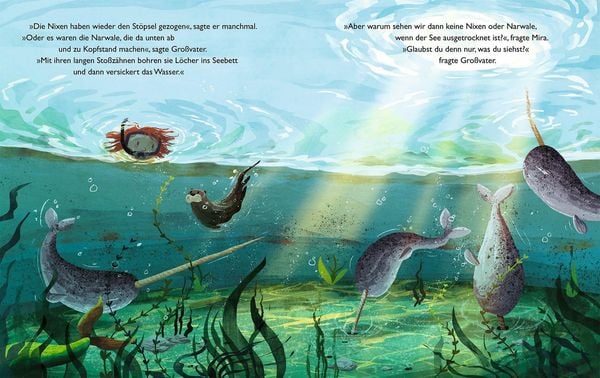 Produktbild: Der verschwindende See