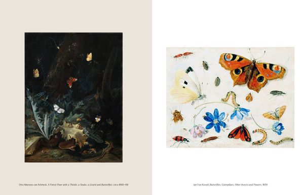 Produktbild: The Book of the Butterfly