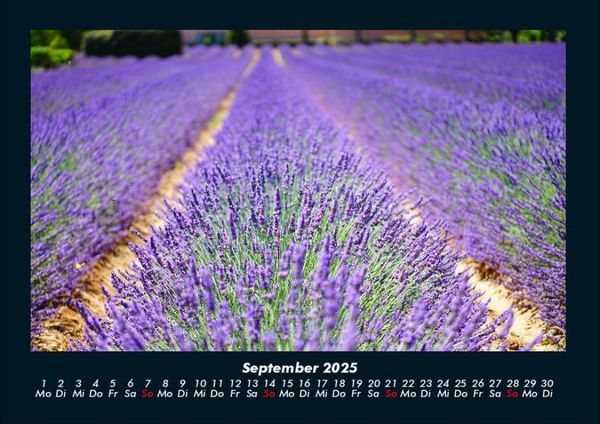 Produktbild: Blumenzauber 2025 Fotokalender DIN A4