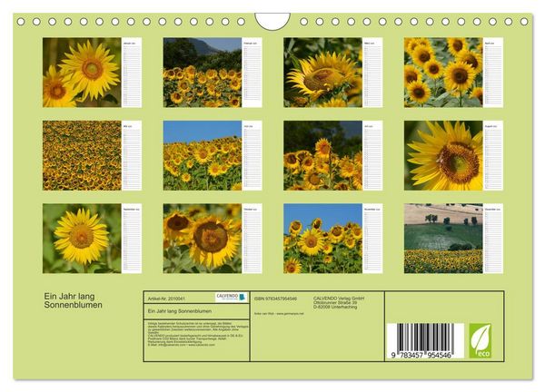 Produktbild: Ein Jahr lang Sonnenblumen (Wandkalender 2026 DIN A4 quer), CALVENDO Monatskalender