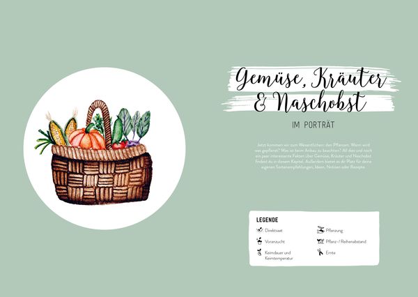 Produktbild: Hochbeet-Gl&uuml;ck &ndash; Das illustrierte Gartenbuch