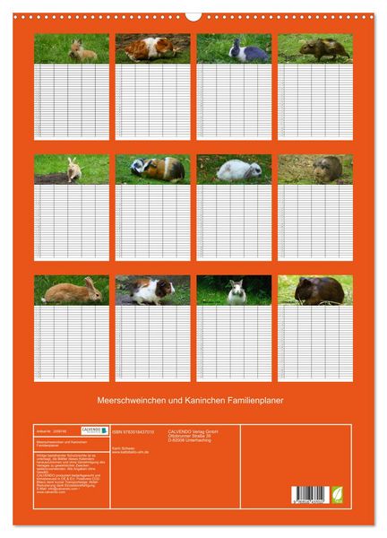 Produktbild: Meerschweinchen und Kaninchen Familienplaner (Wandkalender 2026 DIN A2 hoch), CALVENDO Monatskalender