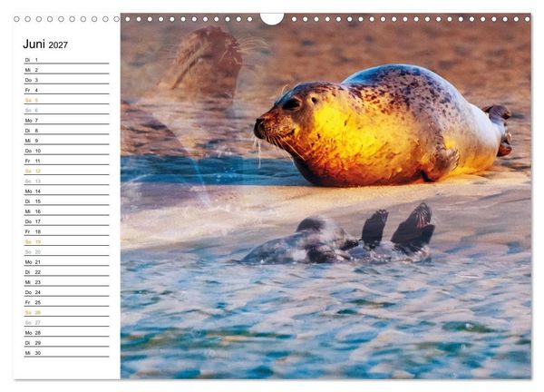 Produktbild: Fan&oslash; - Mit k&uuml;nstlerischem Auge betrachtet (Wandkalender 2027 DIN A3 quer), CALVENDO Monatskalender