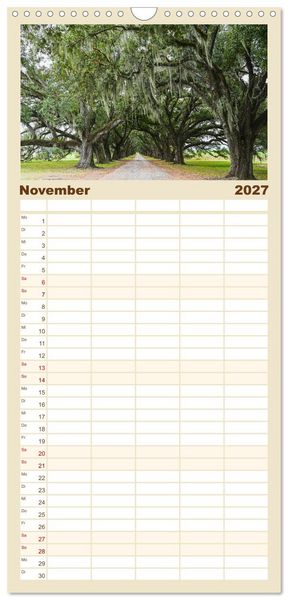 Produktbild: Familienplaner 2027 - Louisiana - S&uuml;mpfe und Plantagenh&auml;user mit 5 Spalten (Wandkalender, 21 x 45 cm) CALVENDO
