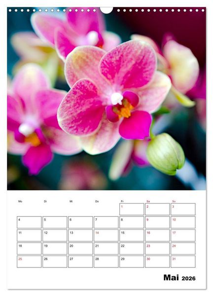 Produktbild: Orchideen - Tropische Sch&ouml;nheiten (Wandkalender 2026 DIN A3 hoch), CALVENDO Monatskalender
