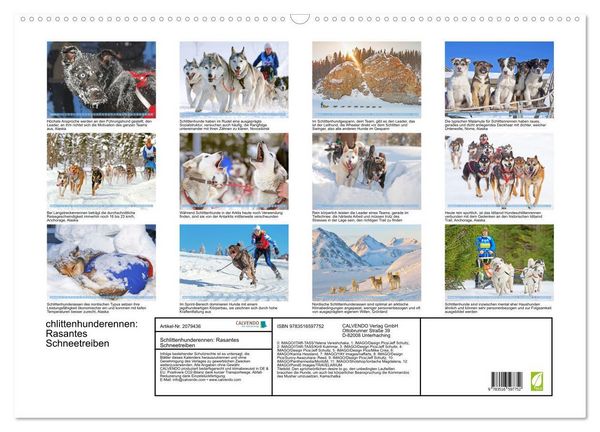 Produktbild: Schlittenhunderennen: Rasantes Schneetreiben (Wandkalender 2026 DIN A2 quer), CALVENDO Monatskalender