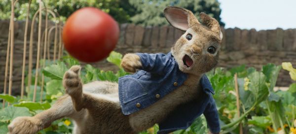 Produktbild: Peter Hase