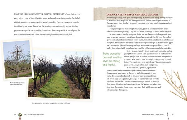 Produktbild: Grow a Little Fruit Tree