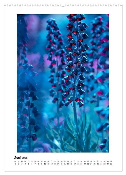 Produktbild: Blauer Bl&uuml;tenzauber (Wandkalender 2026 DIN A2 hoch), CALVENDO Monatskalender