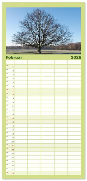 Produktbild: Familienplaner 2026 - Die Buche: 12 Baumportr&auml;ts mit 5 Spalten (Wandkalender, 21 x 45 cm) CALVENDO