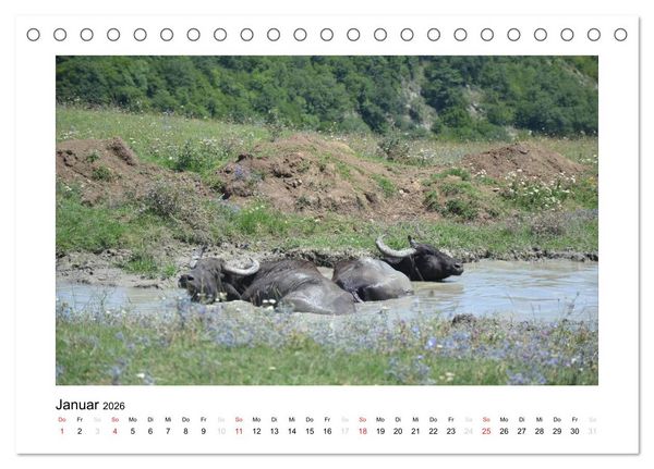 Produktbild: GEORGIEN 2026 (Tischkalender 2026 DIN A5 quer), CALVENDO Monatskalender