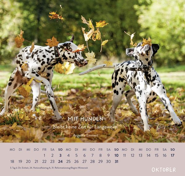 Produktbild: Wandkalender 2027: F&uuml;r Hundefreunde