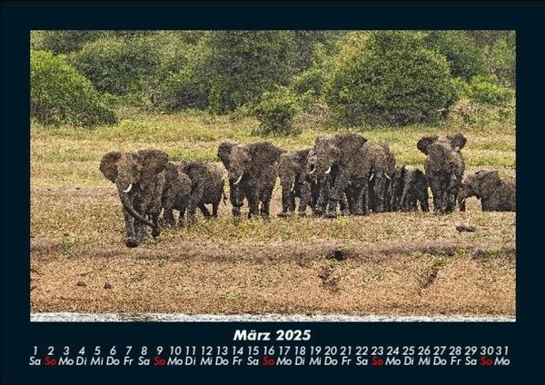 Produktbild: Elefanten Kalender 2025 Fotokalender DIN A5
