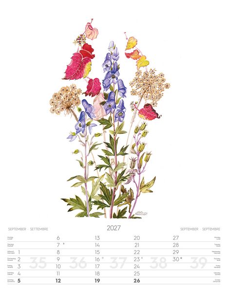 Produktbild: Alpenblumen-Aquarelle Kalender 2027