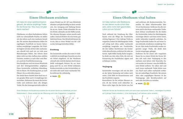 Produktbild: G&auml;rtnern f&uuml;r Gartenneulinge