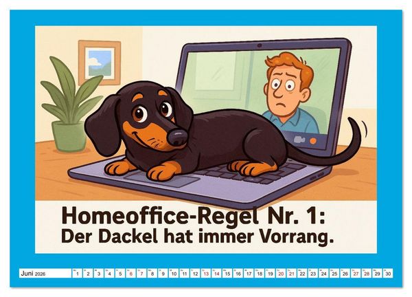 Produktbild: Fehlerfrei. Dackel eben. (Wandkalender 2026 DIN A4 quer), CALVENDO Monatskalender
