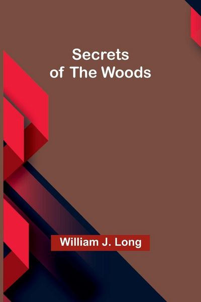 Produktbild: Secrets of the Woods