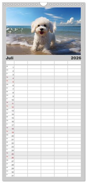 Produktbild: Familienplaner 2026 - Bichon fris&eacute;, wei&szlig;e H&uuml;ndchen mit lockigem Haar mit 5 Spalten (Wandkalender, 21 x 45 cm) CALVENDO