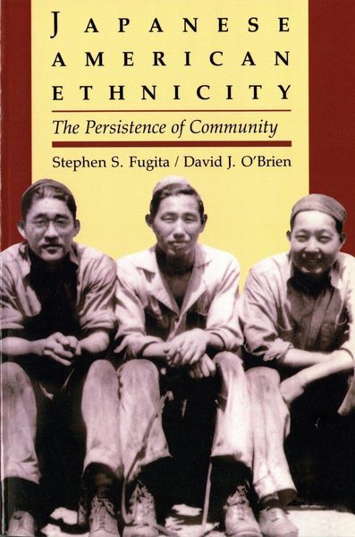 Produktbild: Japanese American Ethnicity