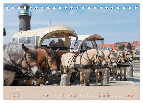 Produktbild: "T&ouml;werland" Juist (Tischkalender 2026 DIN A5 quer), CALVENDO Monatskalender