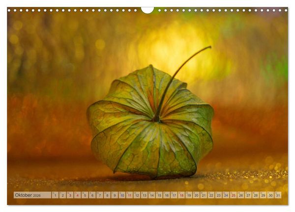 Produktbild: Kunstvolle Physalis-Kleine Frucht von gro&szlig;er Faszination (Wandkalender 2026 DIN A3 quer), CALVENDO Monatskalender