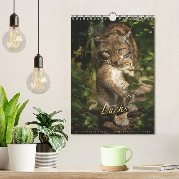 Produktbild: Luchs (Wandkalender 2026 DIN A4 hoch), CALVENDO Monatskalender
