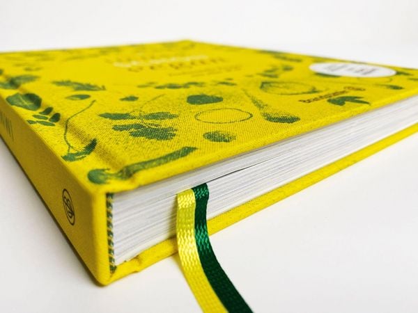 Produktbild: Immer schon vegan