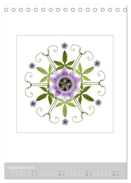Produktbild: Pflanzen - Mandalas aus Bl&uuml;ten und Bl&auml;ttern (Tischkalender 2026 DIN A5 hoch), CALVENDO Monatskalender