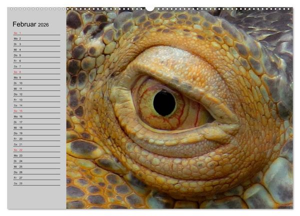 Produktbild: Kaltes Blut. Faszination Reptilien (hochwertiger Premium Wandkalender 2026 DIN A2 quer), Kunstdruck in Hochglanz