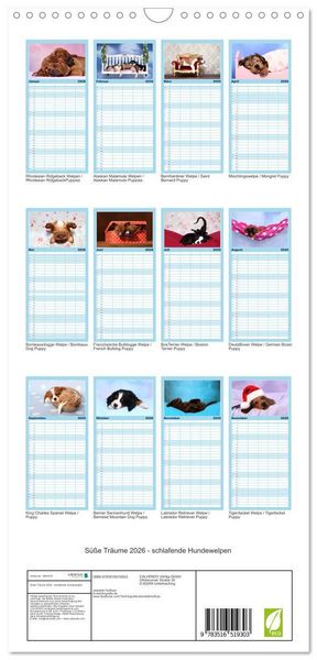 Produktbild: Familienplaner 2026 - S&uuml;&szlig;e Tr&auml;ume 2026 - schlafende Hundewelpen mit 5 Spalten (Wandkalender, 21 x 45 cm) CALVENDO