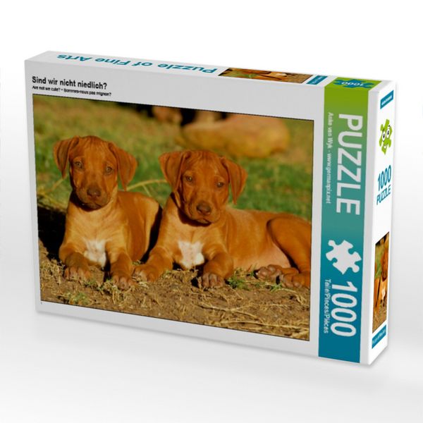Produktbild: CALVENDO Puzzle Sind wir nicht niedlich? | 1000 Teile Lege-Gr&ouml;&szlig;e 64x48cm Foto-Puzzle f&uuml;r gl&uuml;ckliche Stunden