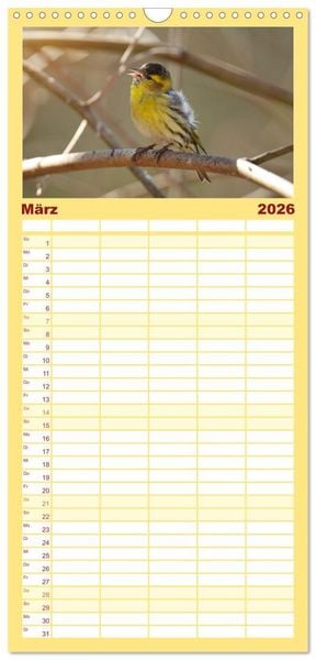 Produktbild: Familienplaner 2026 - Erlenzeisige mit 5 Spalten (Wandkalender, 21 x 45 cm) CALVENDO