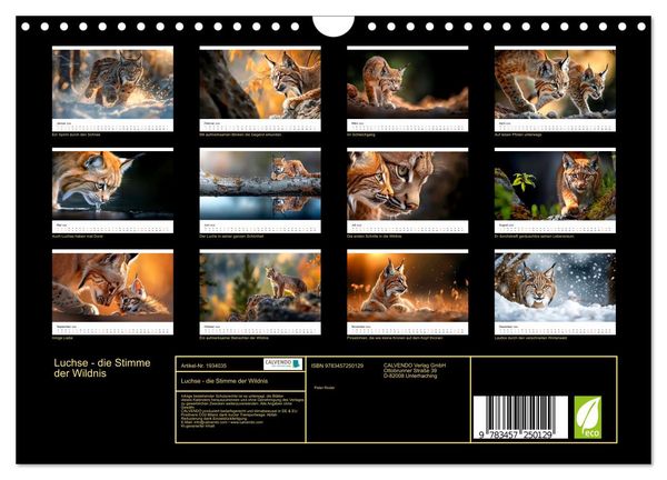 Produktbild: Luchse - die Stimme der Wildnis (Wandkalender 2026 DIN A4 quer), CALVENDO Monatskalender