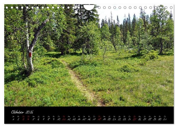 Produktbild: Der Olavsweg (Wandkalender 2026 DIN A4 quer), CALVENDO Monatskalender