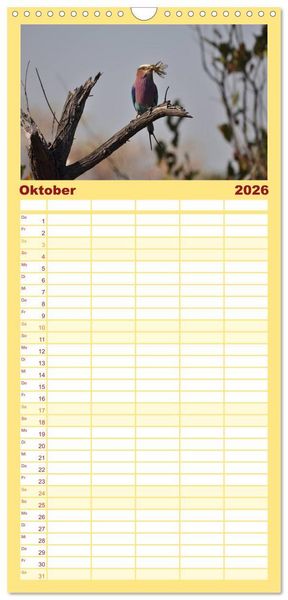 Produktbild: Familienplaner 2026 - S&uuml;dafrika - Big 5 und mehr mit 5 Spalten (Wandkalender, 21 x 45 cm) CALVENDO