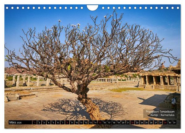 Produktbild: Der zauberhafte S&uuml;den Indiens (Wandkalender 2026 DIN A4 quer), CALVENDO Monatskalender